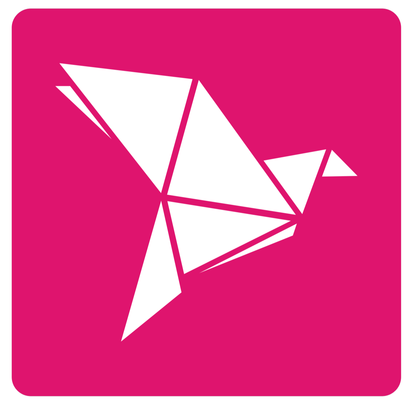 bKash logo